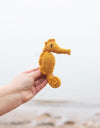 Mini Blanche the Seahorse | Crochet Kit