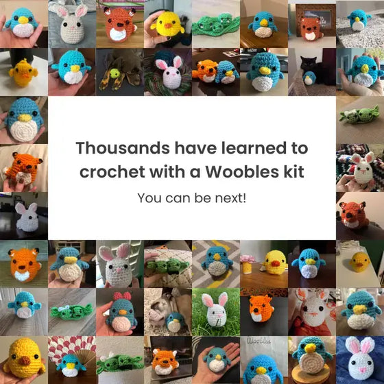 Pig Crochet Kit for Beginners