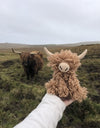 Morag the Highland Coo | Crochet Kit