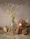 Morag the Highland Coo | Crochet Kit