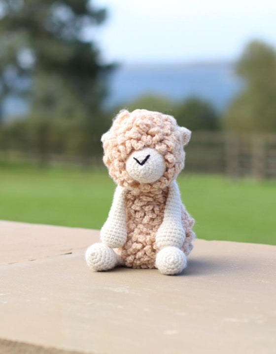 Everett the Romney Sheep | Crochet Kit