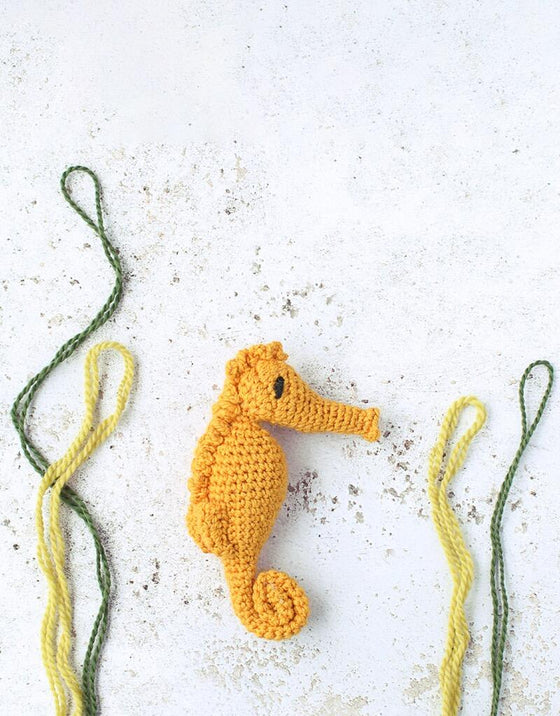 Mini Blanche the Seahorse | Crochet Kit